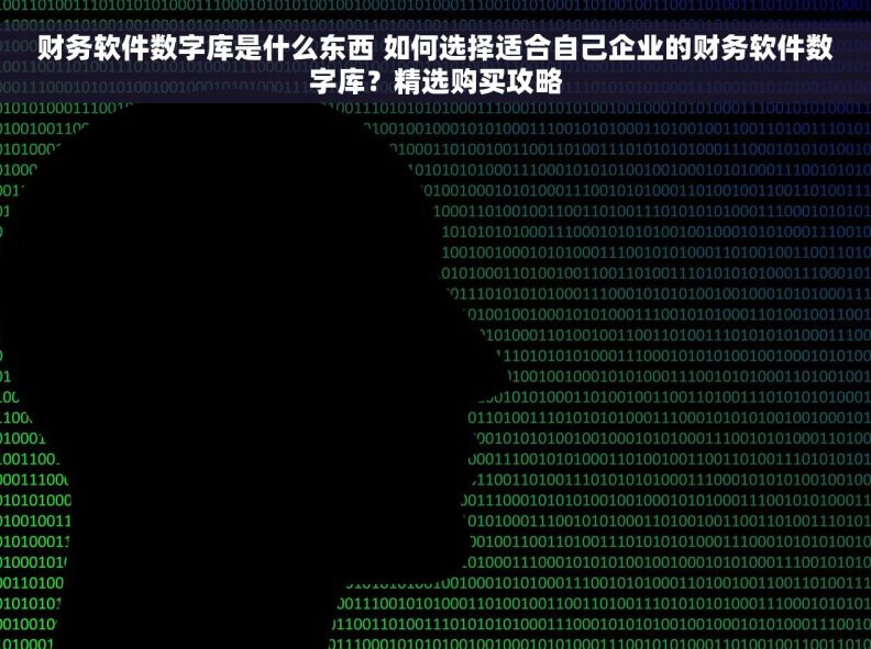 财务软件数字库是什么东西 如何选择适合自己企业的财务软件数字库？精选购买攻略