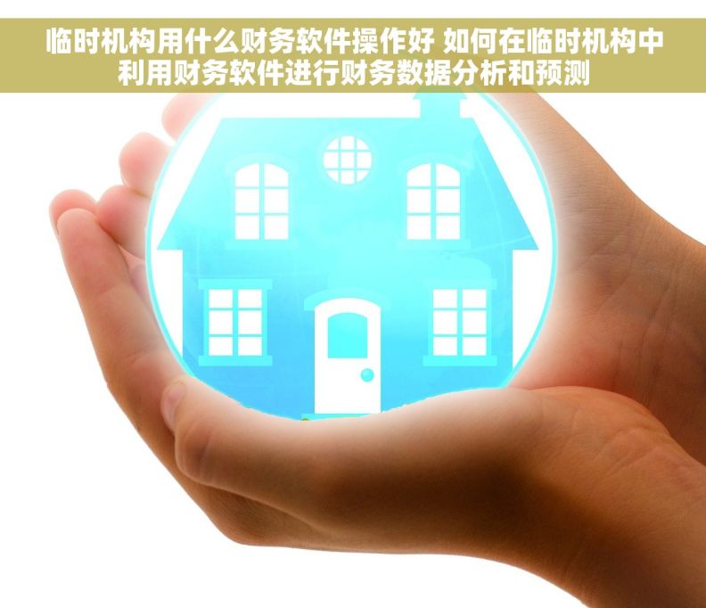 临时机构用什么财务软件操作好 如何在临时机构中利用财务软件进行财务数据分析和预测
