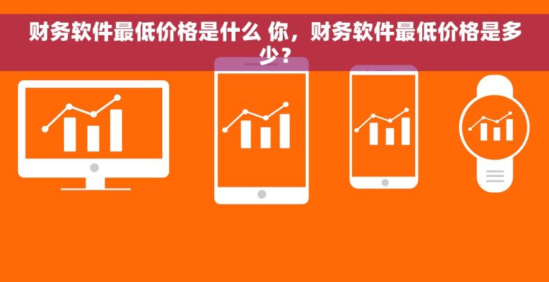财务软件最低价格是什么 你，财务软件最低价格是多少？