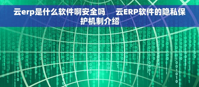 云erp是什么软件啊安全吗     云ERP软件的隐私保护机制介绍