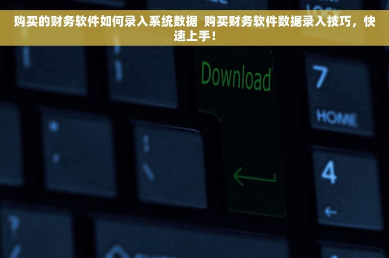 购买的财务软件如何录入系统数据  购买财务软件数据录入技巧，快速上手！