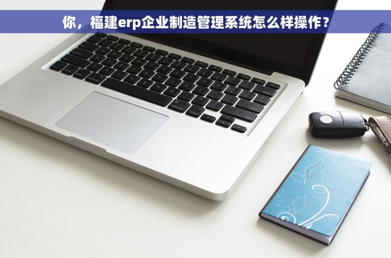 你，福建erp企业制造管理系统怎么样操作？