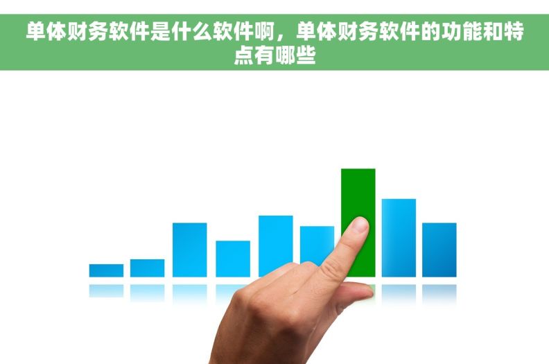单体财务软件是什么软件啊，单体财务软件的功能和特点有哪些