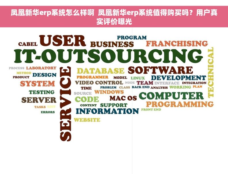 凤凰新华erp系统怎么样啊  凤凰新华erp系统值得购买吗？用户真实评价曝光