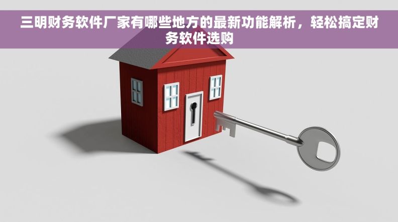 三明财务软件厂家有哪些地方的最新功能解析，轻松搞定财务软件选购