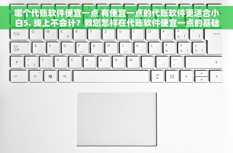 哪个代账软件便宜一点 有便宜一点的代账软件更适合小白5. 线上不会计？教您怎样在代账软件便宜一点的基础上入门6. 初次使用代账软件