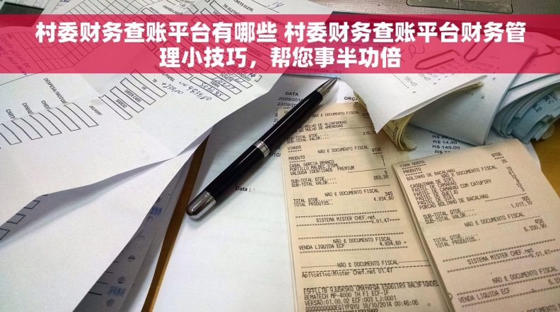 村委财务查账平台有哪些 村委财务查账平台财务管理小技巧，帮您事半功倍