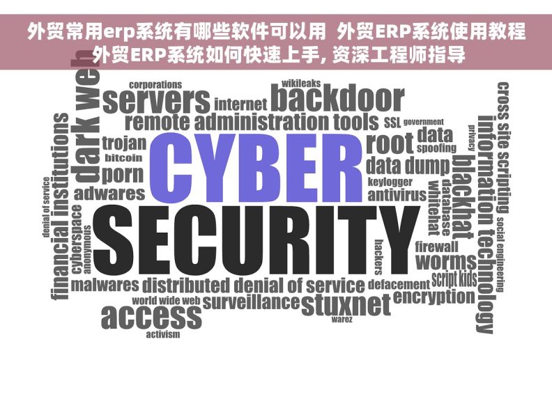 外贸常用erp系统有哪些软件可以用  外贸ERP系统使用教程 外贸ERP系统如何快速上手, 资深工程师指导