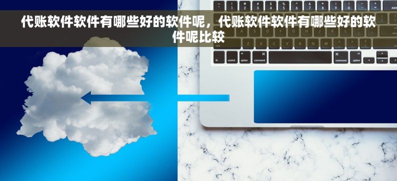 代账软件软件有哪些好的软件呢，代账软件软件有哪些好的软件呢比较