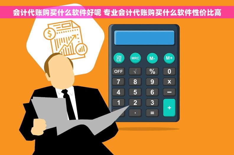 会计代账购买什么软件好呢 专业会计代账购买什么软件性价比高