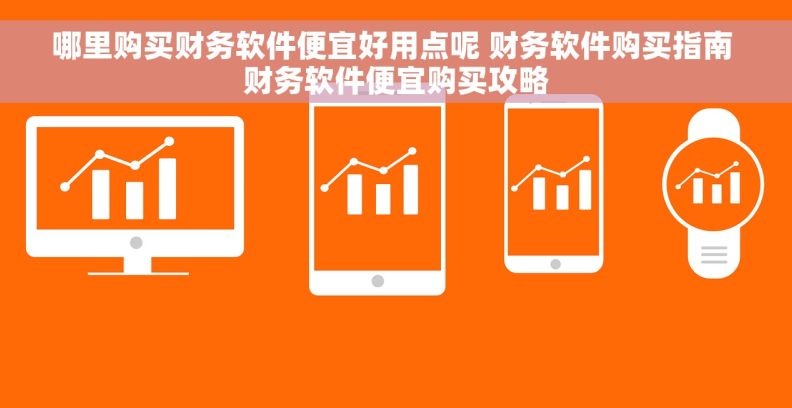 哪里购买财务软件便宜好用点呢 财务软件购买指南 财务软件便宜购买攻略