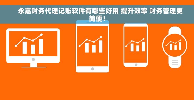     永嘉财务代理记账软件有哪些好用 提升效率 财务管理更简便！
