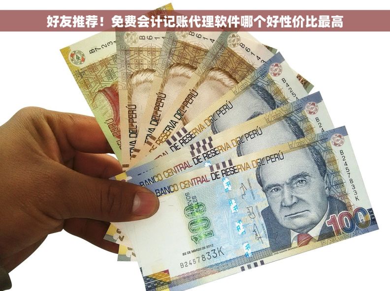 好友推荐！免费会计记账代理软件哪个好性价比最高