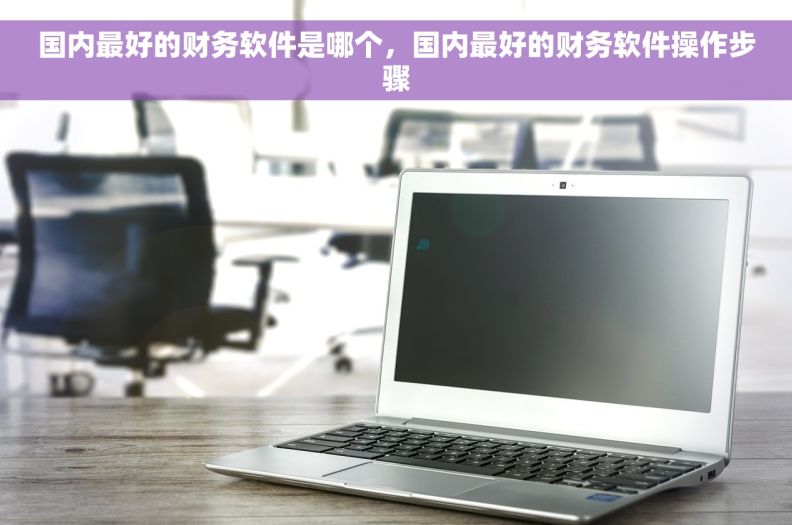 国内最好的财务软件是哪个，国内最好的财务软件操作步骤