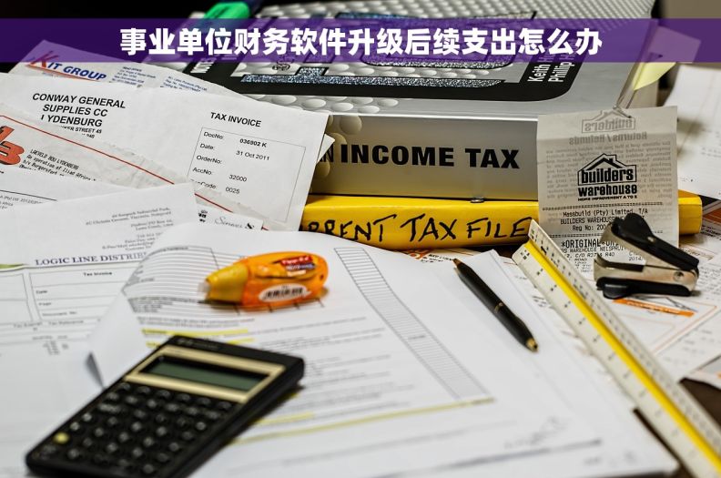 事业单位财务软件升级后续支出怎么办