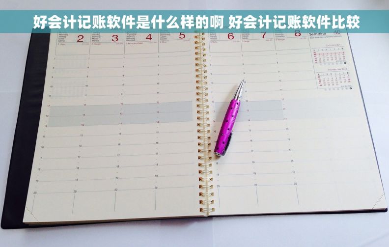  好会计记账软件是什么样的啊 好会计记账软件比较