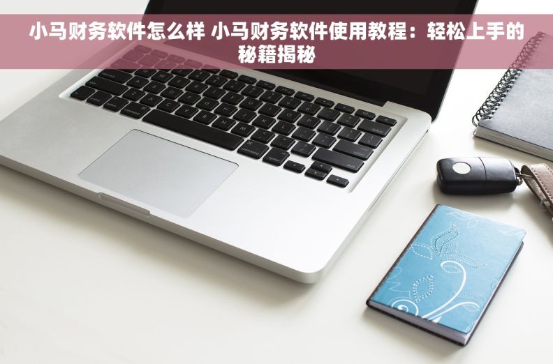 小马财务软件怎么样 小马财务软件使用教程：轻松上手的秘籍揭秘