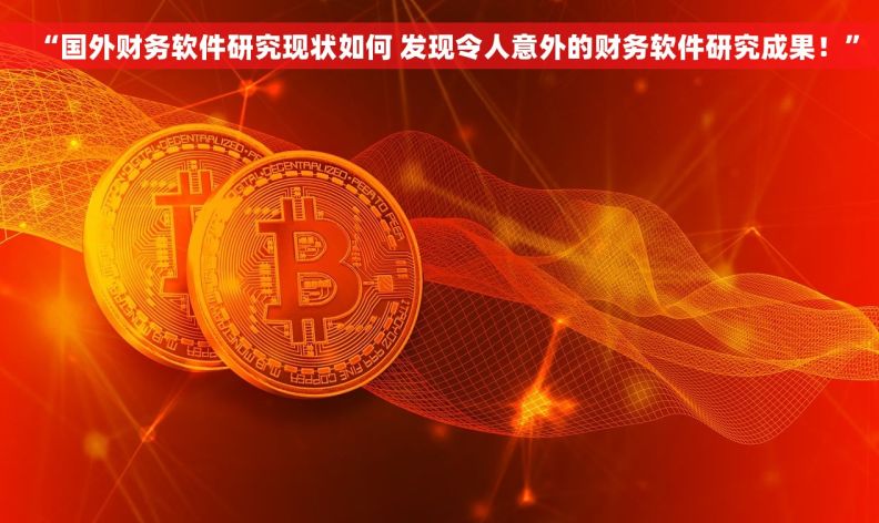 “国外财务软件研究现状如何 发现令人意外的财务软件研究成果！”