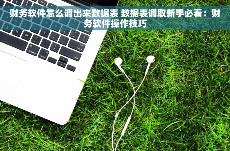 财务软件怎么调出来数据表 数据表调取新手必看：财务软件操作技巧