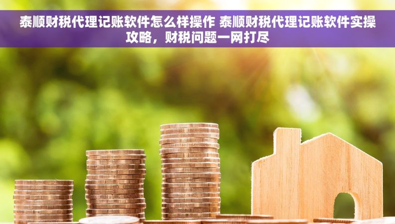 泰顺财税代理记账软件怎么样操作 泰顺财税代理记账软件实操攻略，财税问题一网打尽