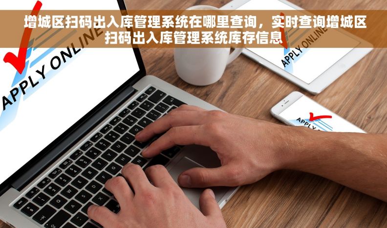  增城区扫码出入库管理系统在哪里查询，实时查询增城区扫码出入库管理系统库存信息