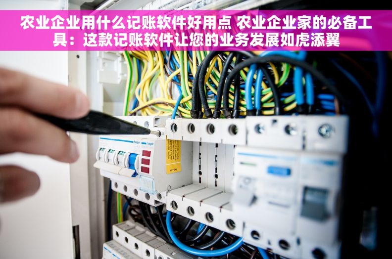 农业企业用什么记账软件好用点 农业企业家的必备工具：这款记账软件让您的业务发展如虎添翼