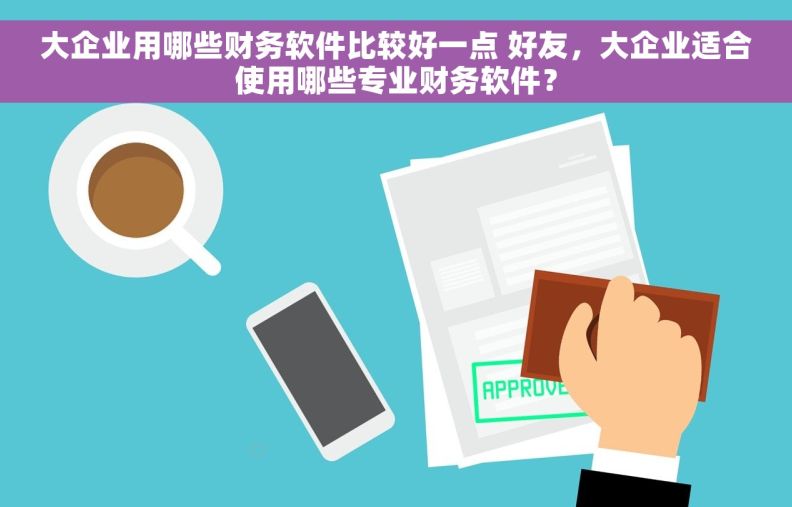 大企业用哪些财务软件比较好一点 好友，大企业适合使用哪些专业财务软件？