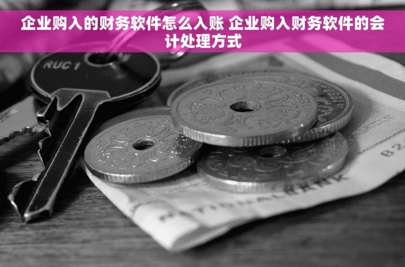 企业购入的财务软件怎么入账 企业购入财务软件的会计处理方式