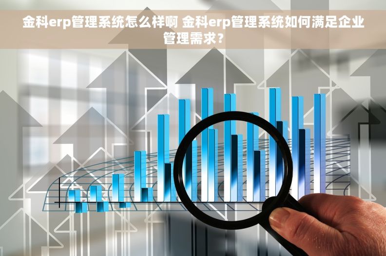 金科erp管理系统怎么样啊 金科erp管理系统如何满足企业管理需求？