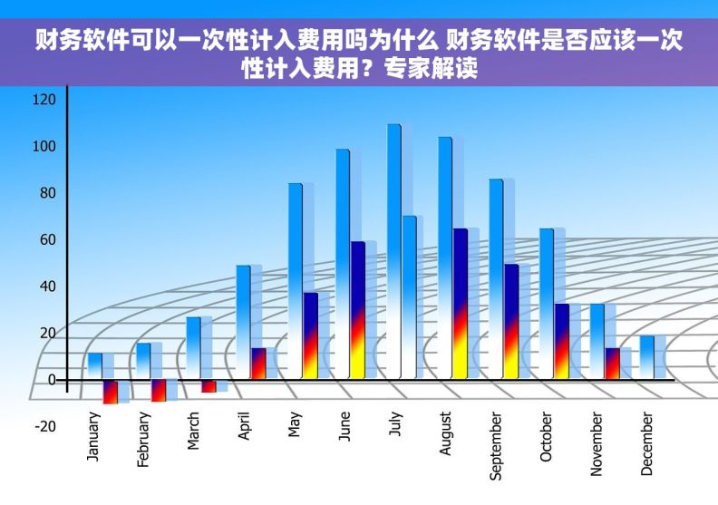 财务软件可以一次性计入费用吗为什么 财务软件是否应该一次性计入费用？专家解读
