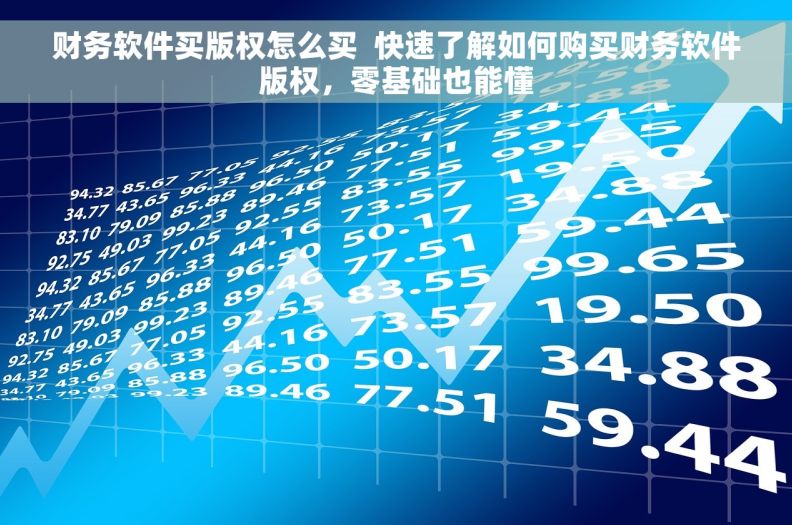 财务软件买版权怎么买  快速了解如何购买财务软件版权，零基础也能懂