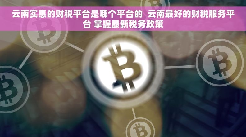 云南实惠的财税平台是哪个平台的  云南最好的财税服务平台 掌握最新税务政策