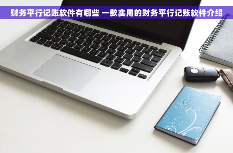 财务平行记账软件有哪些 一款实用的财务平行记账软件介绍