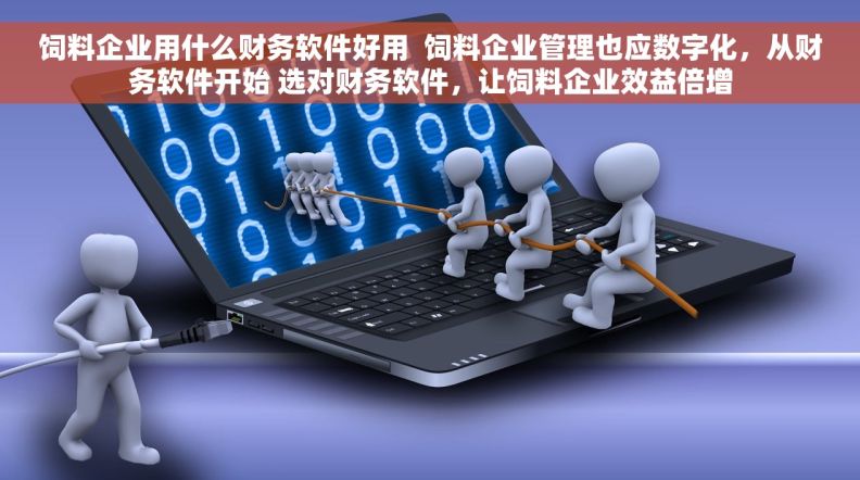 饲料企业用什么财务软件好用  饲料企业管理也应数字化，从财务软件开始 选对财务软件，让饲料企业效益倍增