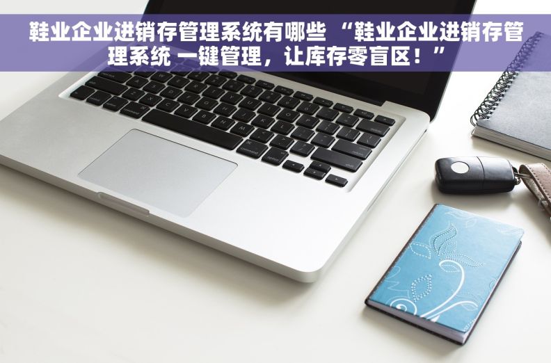 鞋业企业进销存管理系统有哪些 “鞋业企业进销存管理系统 一键管理，让库存零盲区！”