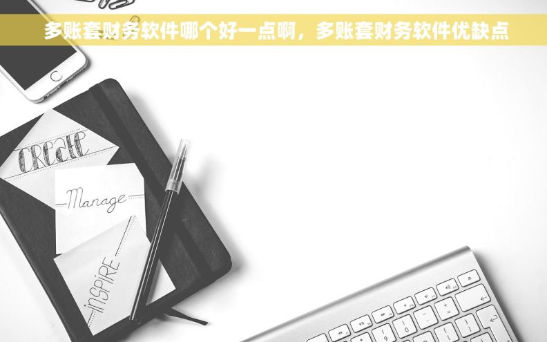  多账套财务软件哪个好一点啊，多账套财务软件优缺点