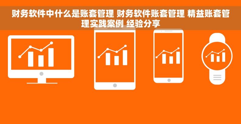 财务软件中什么是账套管理 财务软件账套管理 精益账套管理实践案例 经验分享
