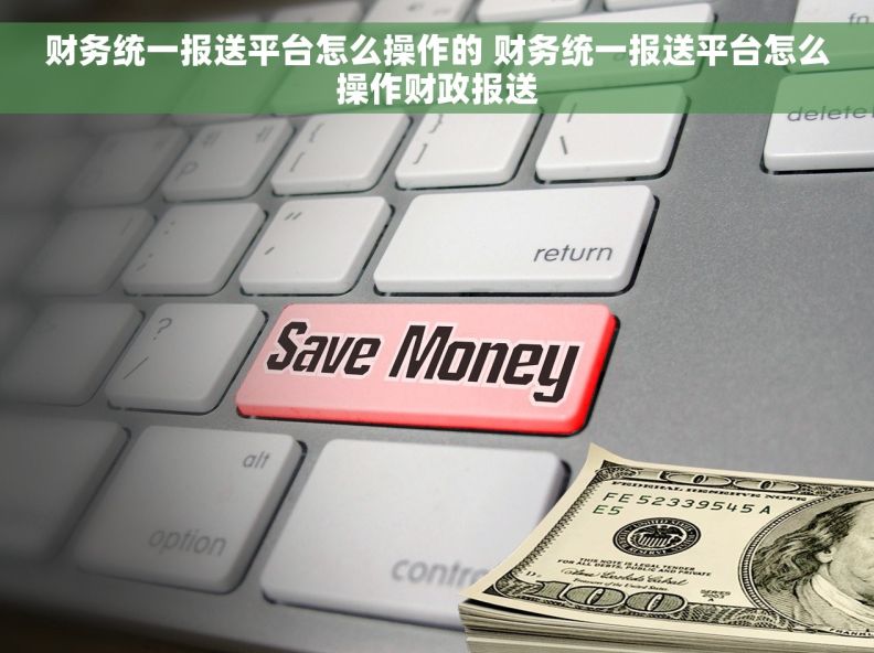 财务统一报送平台怎么操作的 财务统一报送平台怎么操作财政报送