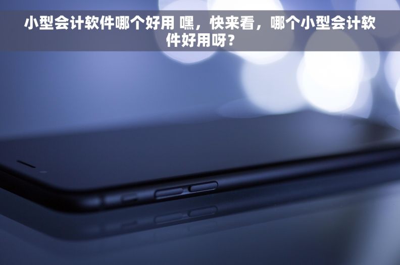 小型会计软件哪个好用 嘿，快来看，哪个小型会计软件好用呀？