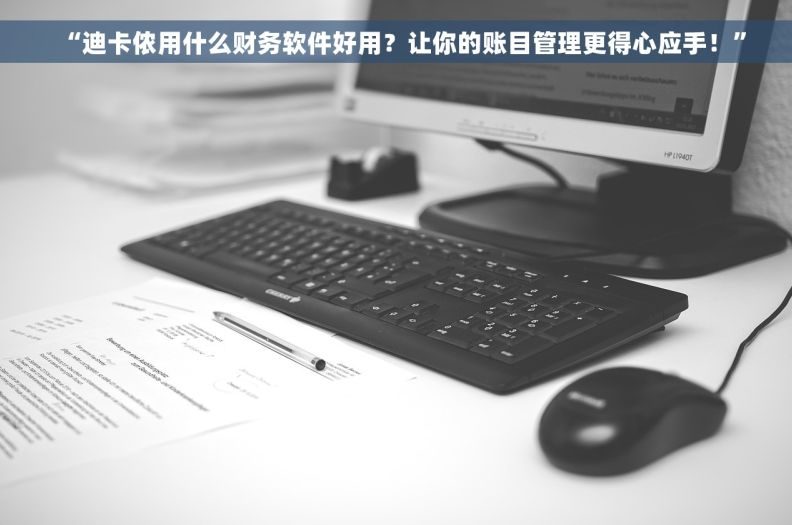 “迪卡侬用什么财务软件好用？让你的账目管理更得心应手！”