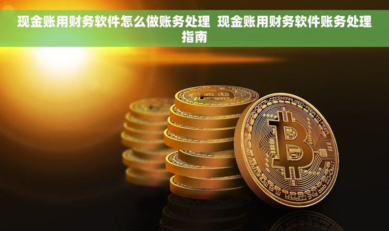 现金账用财务软件怎么做账务处理  现金账用财务软件账务处理指南