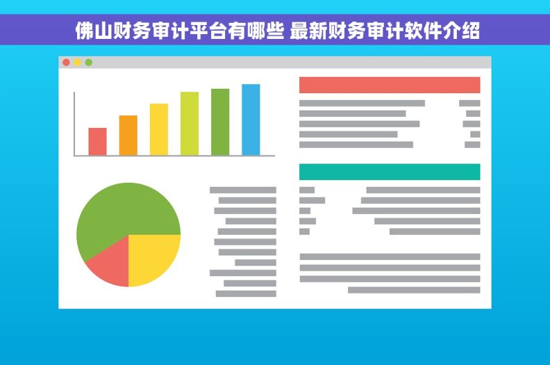  佛山财务审计平台有哪些 最新财务审计软件介绍