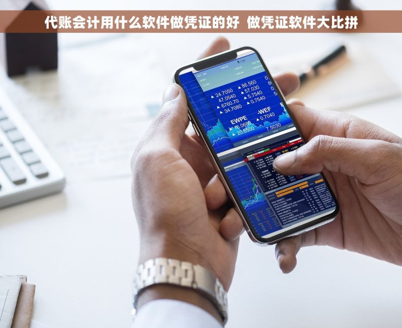 代账会计用什么软件做凭证的好  做凭证软件大比拼