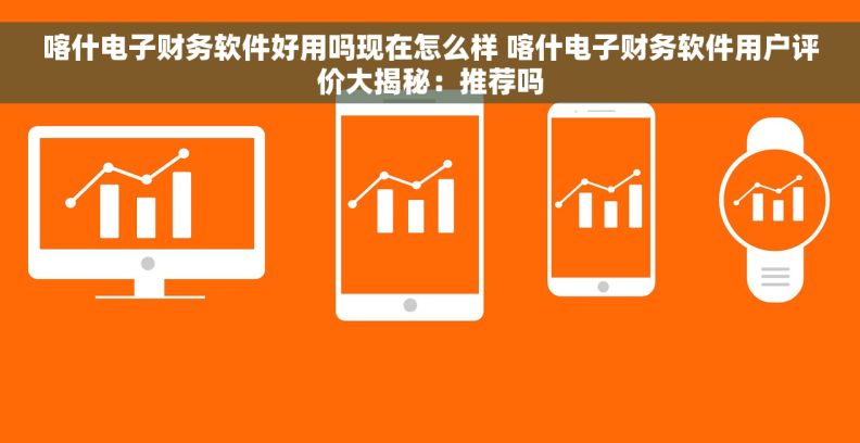 喀什电子财务软件好用吗现在怎么样 喀什电子财务软件用户评价大揭秘：推荐吗