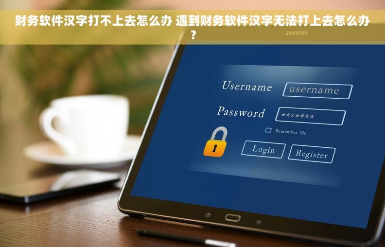 财务软件汉字打不上去怎么办 遇到财务软件汉字无法打上去怎么办？