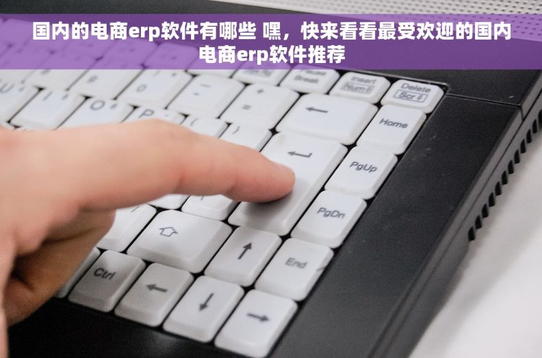 国内的电商erp软件有哪些 嘿，快来看看最受欢迎的国内电商erp软件推荐