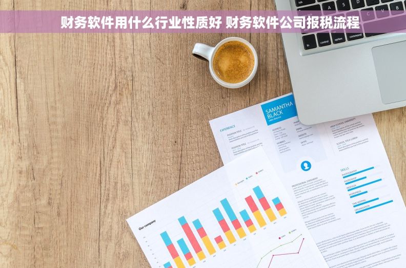     财务软件用什么行业性质好 财务软件公司报税流程