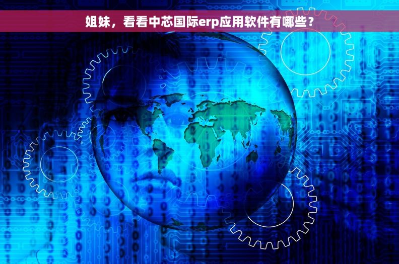 姐妹，看看中芯国际erp应用软件有哪些？