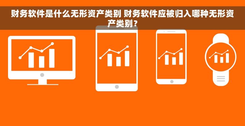 财务软件是什么无形资产类别 财务软件应被归入哪种无形资产类别？