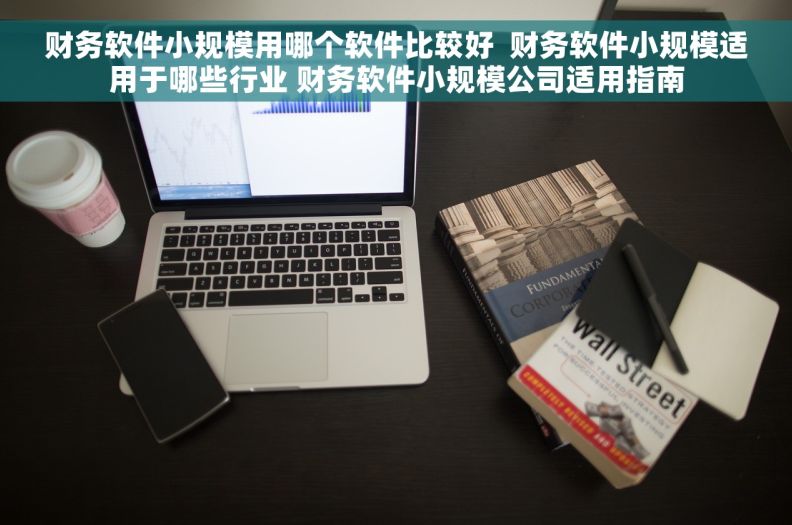 财务软件小规模用哪个软件比较好  财务软件小规模适用于哪些行业 财务软件小规模公司适用指南